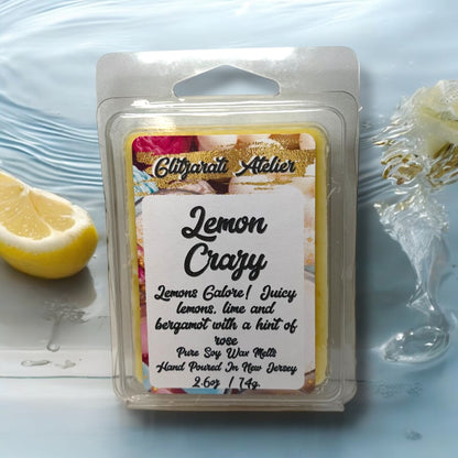 Handmade Pure Soy + Soy Blend Maximum Scented Wax Cube Melts 2.6 Oz Clamshells